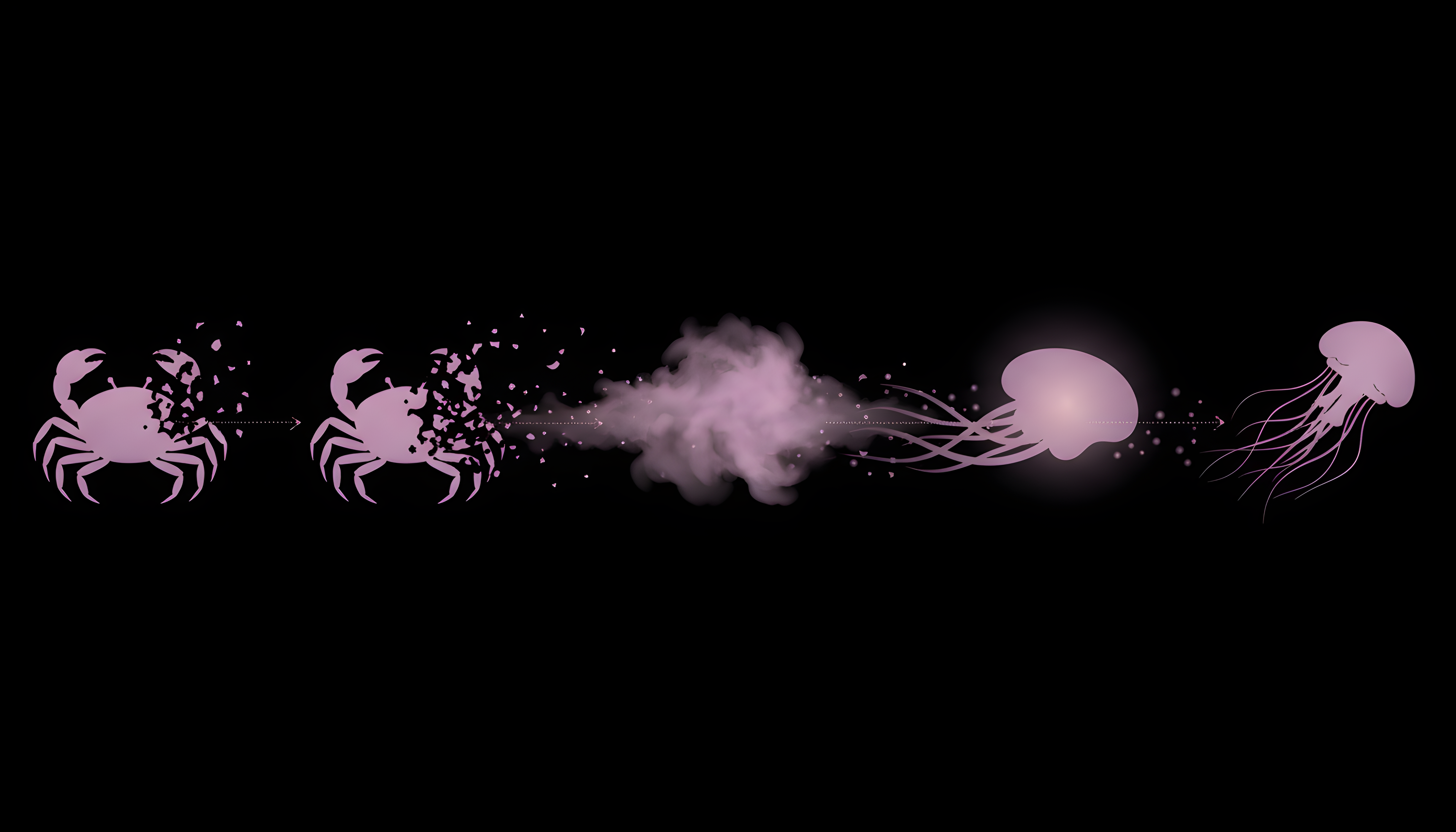 Dissolution Sequence: From Shell to Void